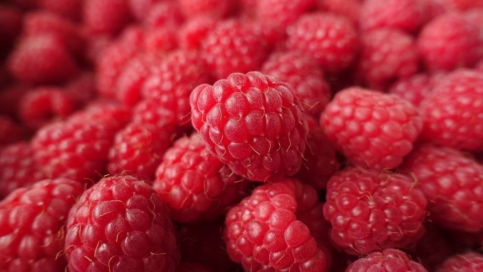 raspberry-2919037_960_720|Jorrit de Vries|planasa